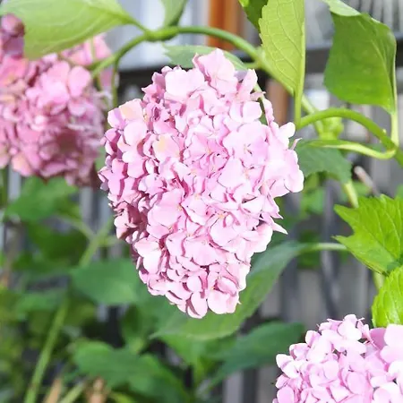 A Casa Cava deʼ Tirreni